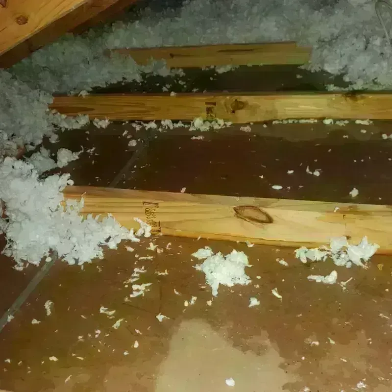 Attic Water Damage in Millen, GA