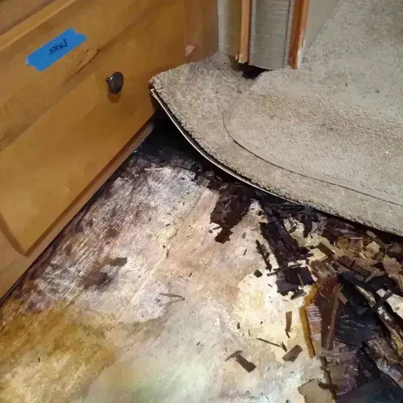 Best Wood Floor Water Damage Service in Millen, GA